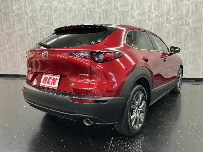 CX-30-2