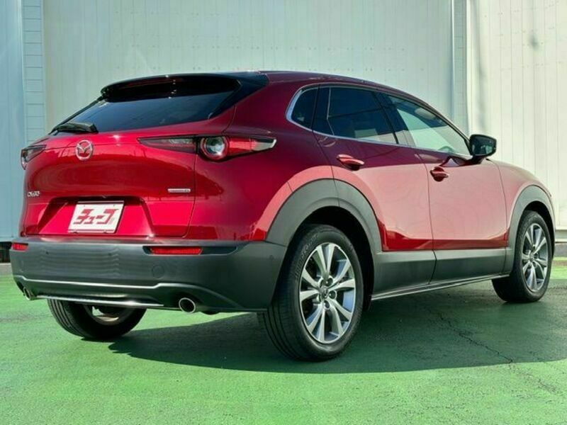 CX-30-2