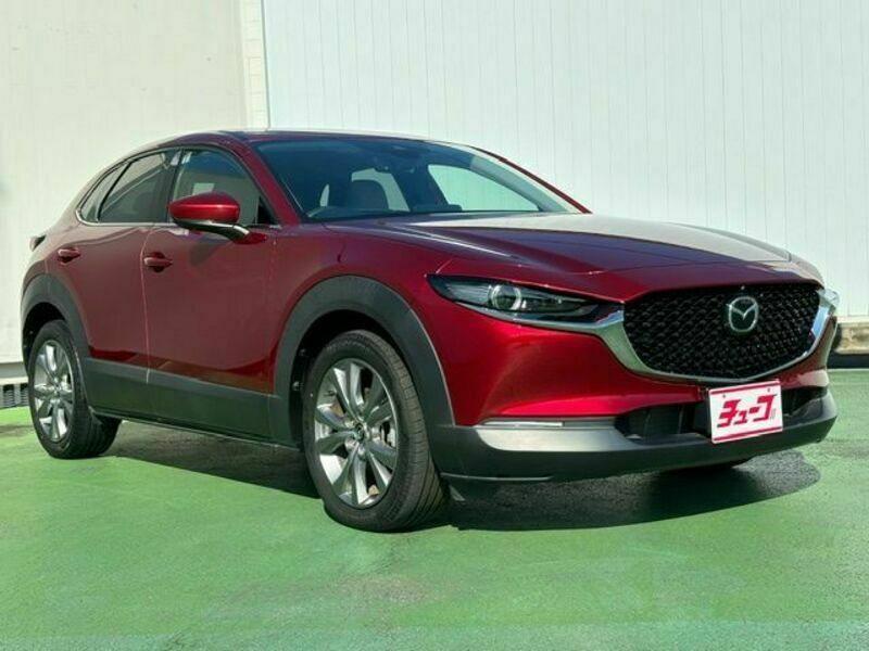 CX-30-6