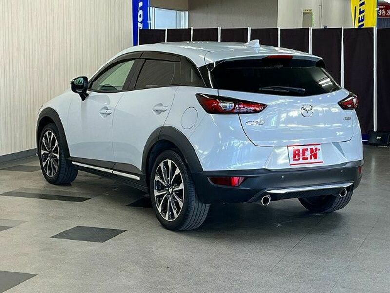 CX-3-8