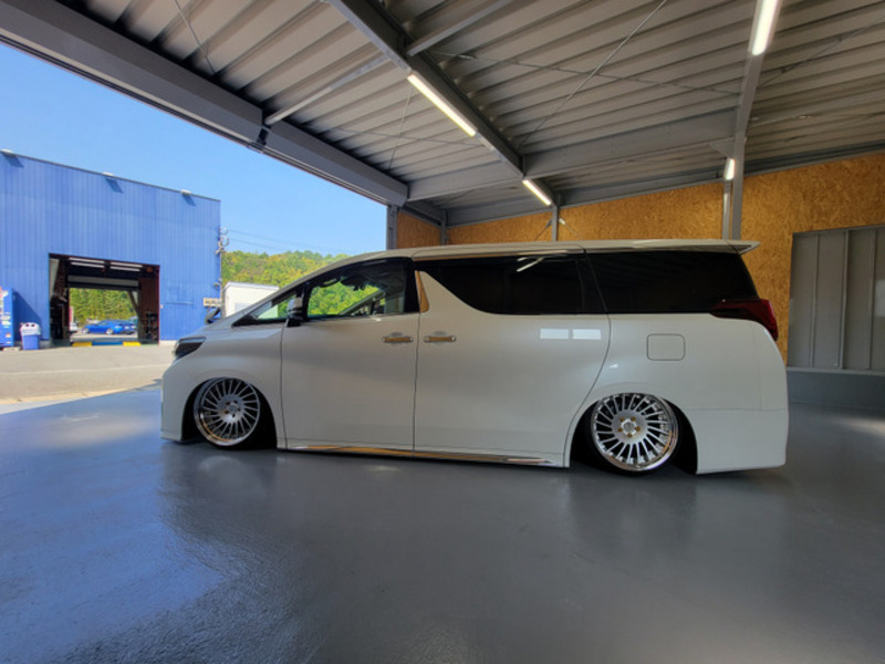 ALPHARD-13