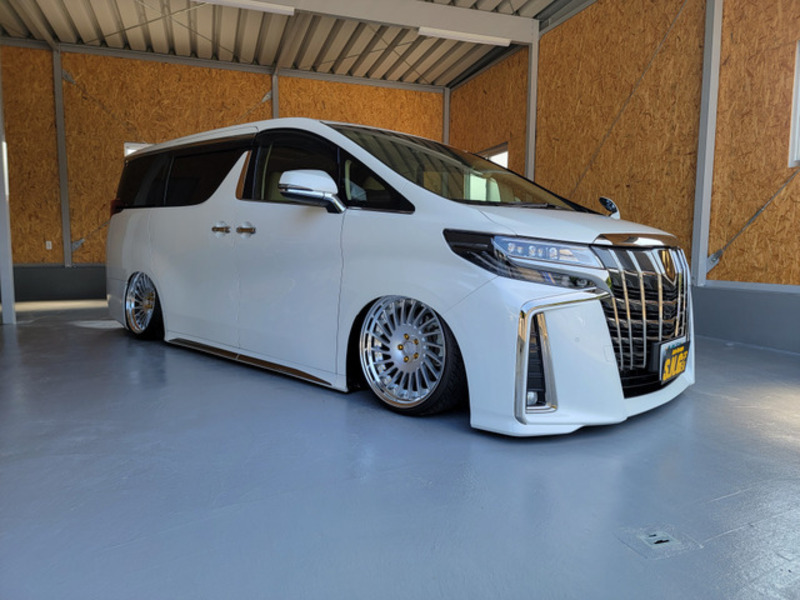 ALPHARD-6