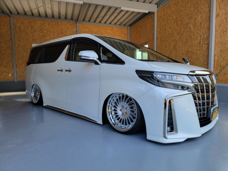 ALPHARD-1