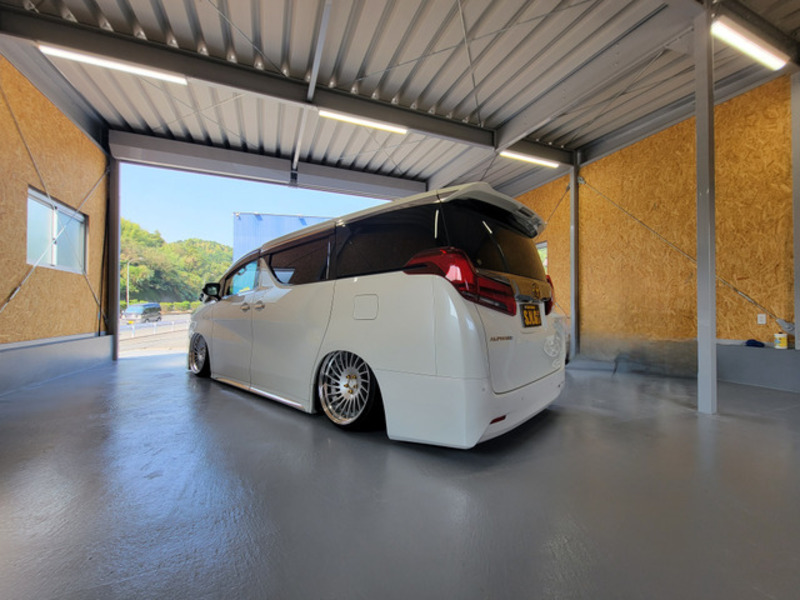 ALPHARD-10