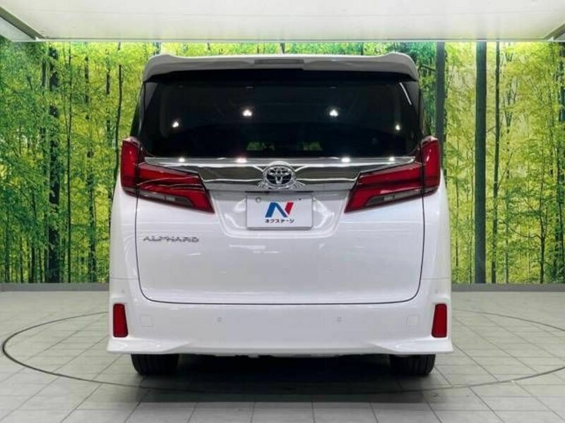 ALPHARD-16