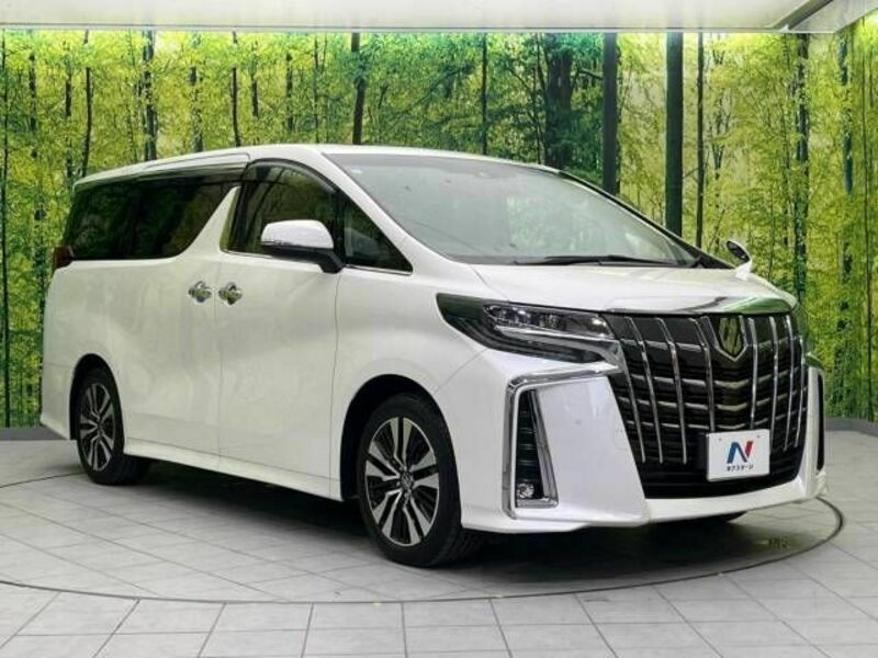 ALPHARD-17