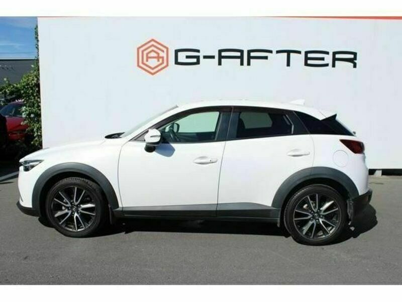 CX-3-8