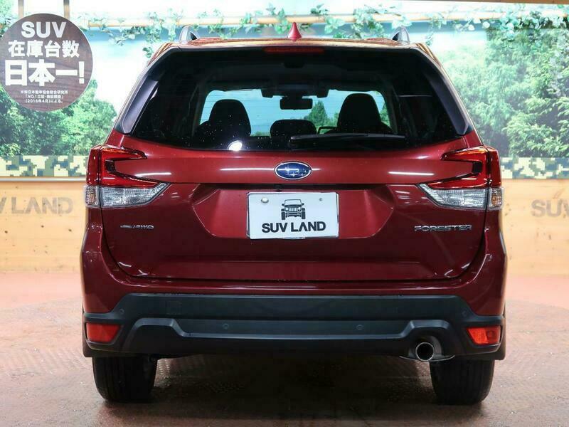 FORESTER