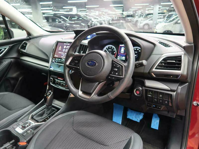 FORESTER