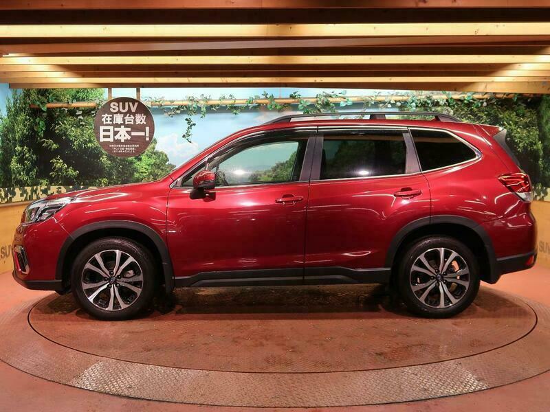 FORESTER