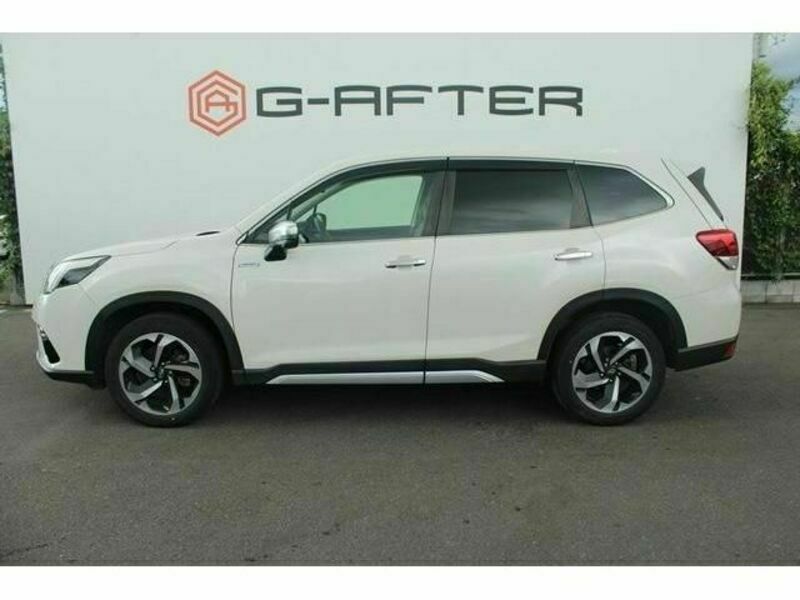 FORESTER-7