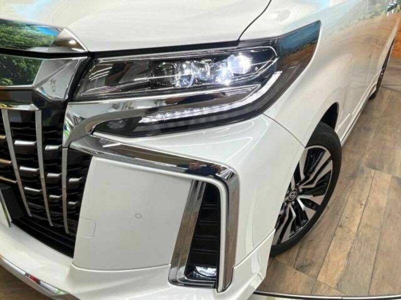 ALPHARD-13