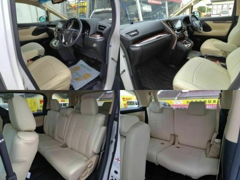 ALPHARD-6