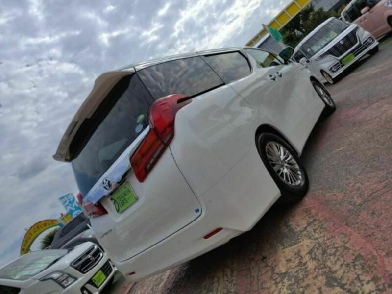 ALPHARD-25