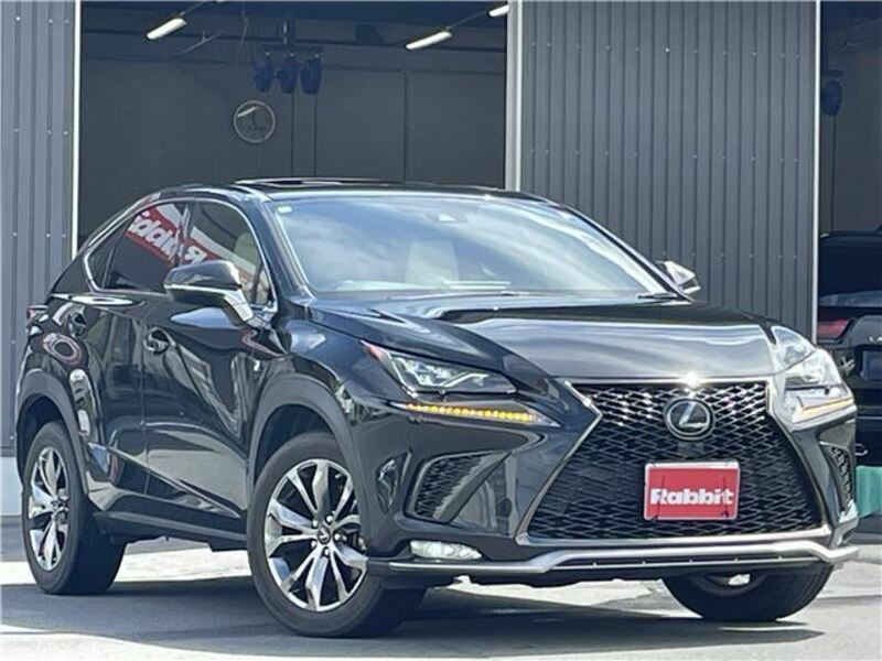 LEXUS　NX