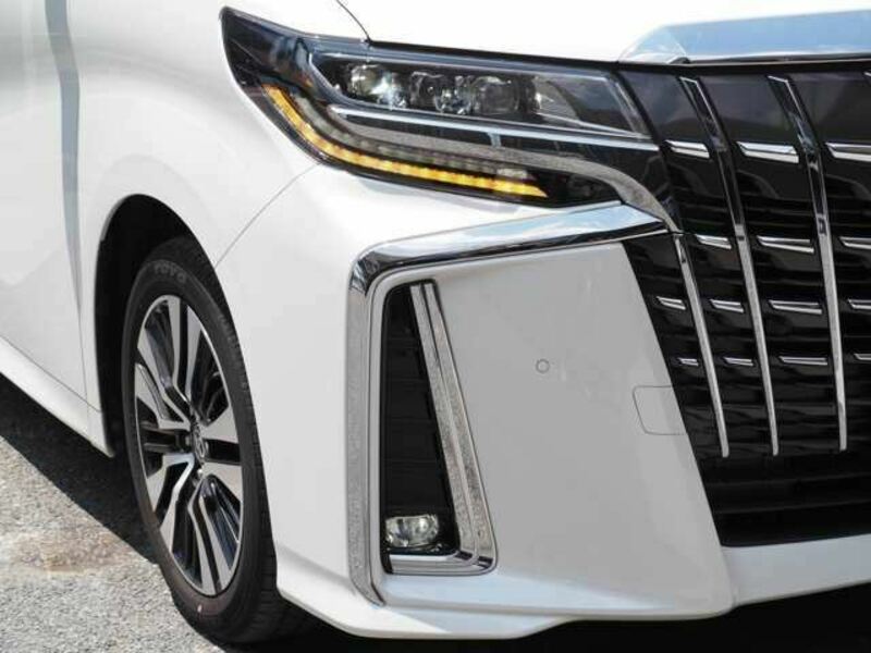 ALPHARD-42