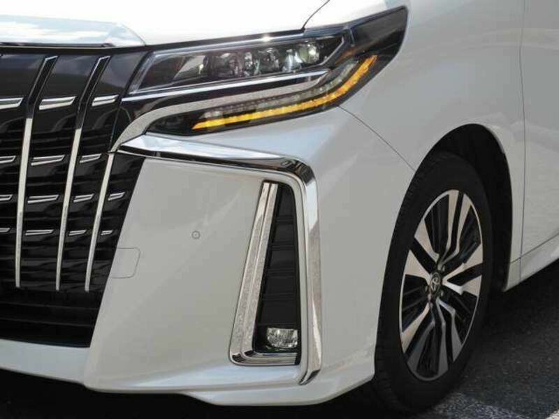 ALPHARD-43