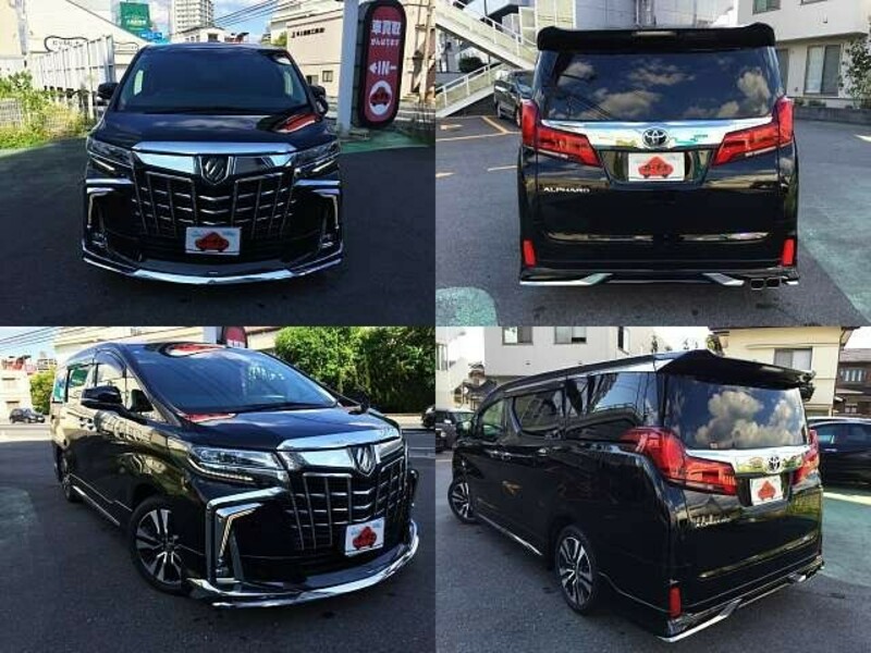 ALPHARD-8