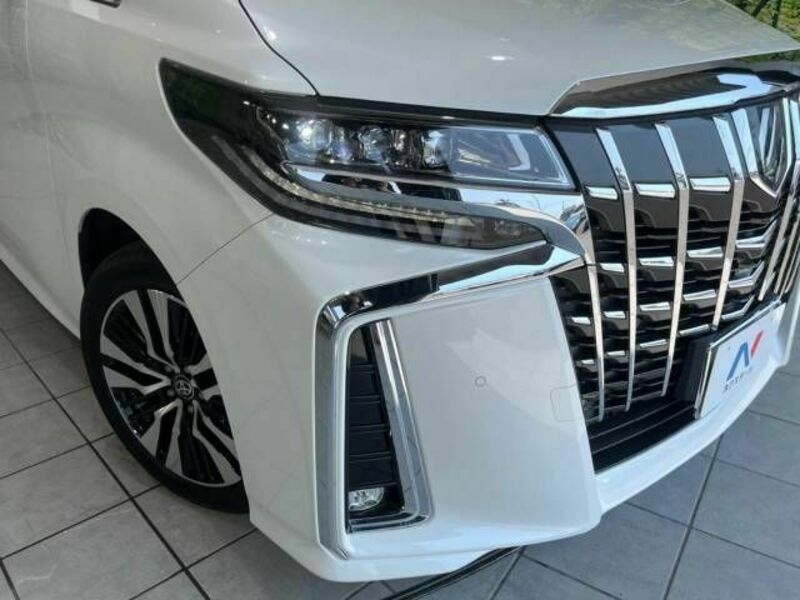 ALPHARD-13