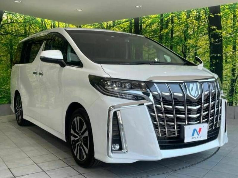 ALPHARD-17