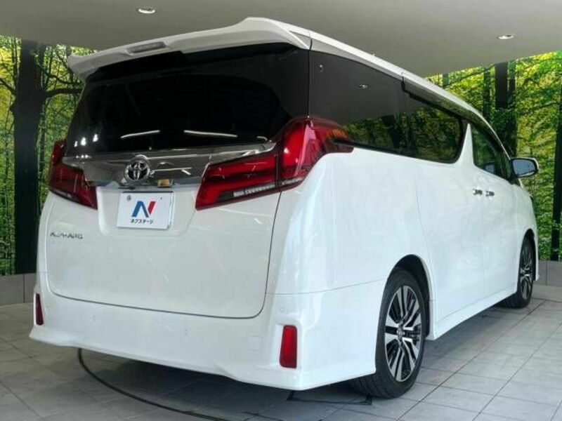 ALPHARD-18