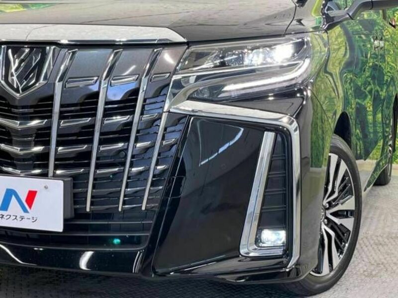 ALPHARD-13