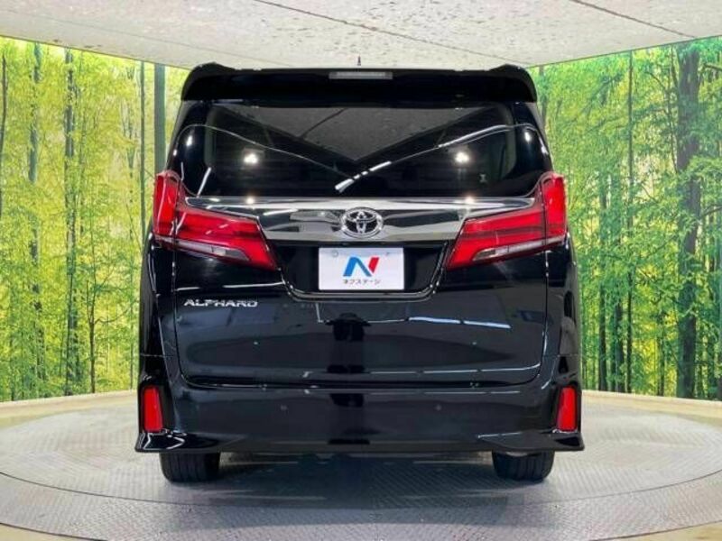 ALPHARD-16