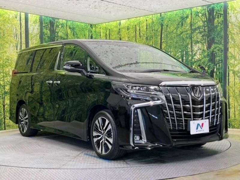 ALPHARD-17