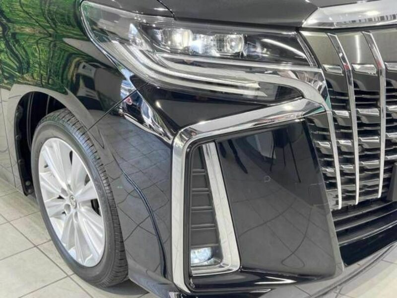 ALPHARD-13