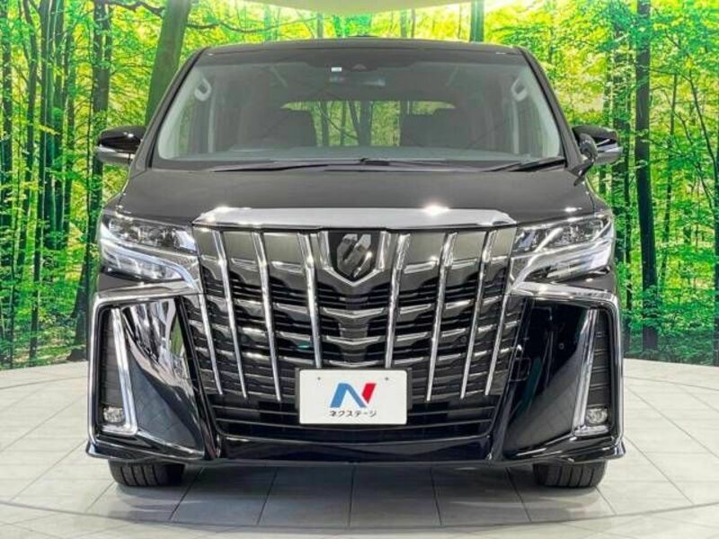 ALPHARD-15