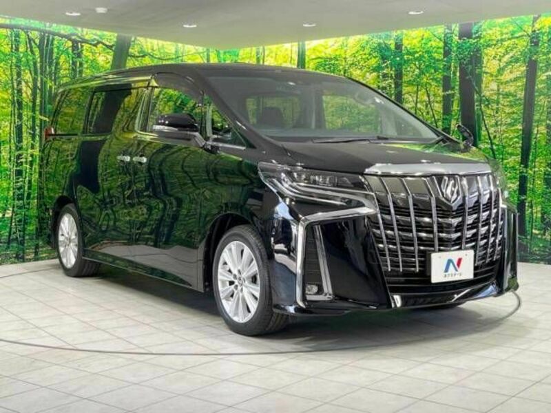 ALPHARD-17