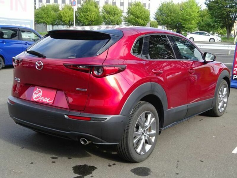 CX-30-2