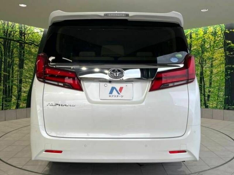 ALPHARD-16