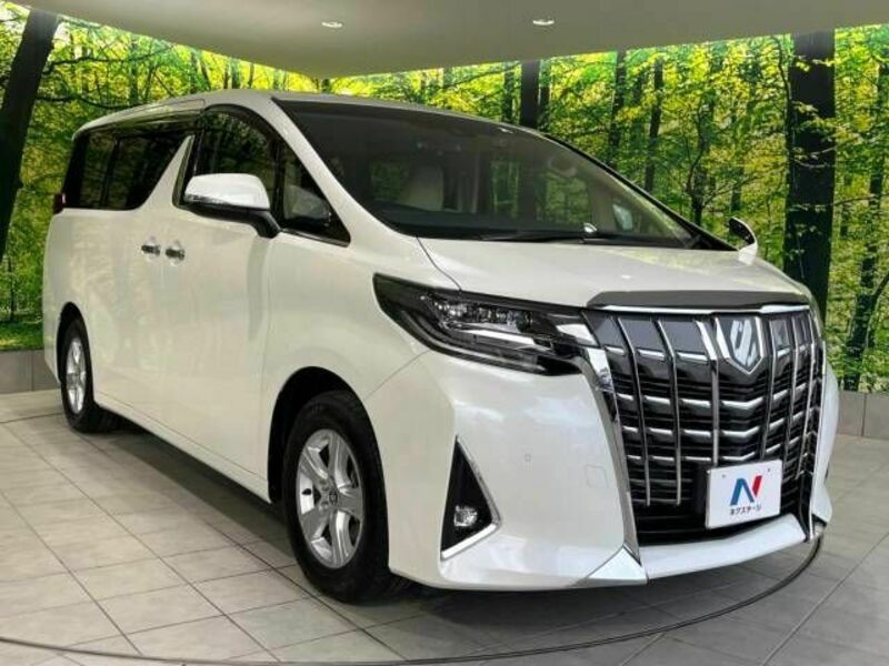 ALPHARD-17