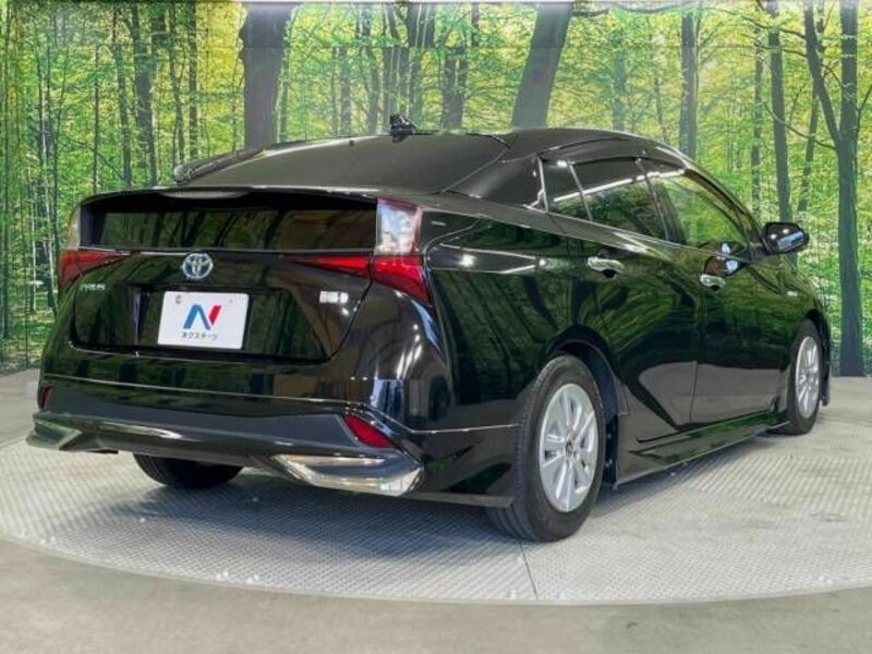 PRIUS-17