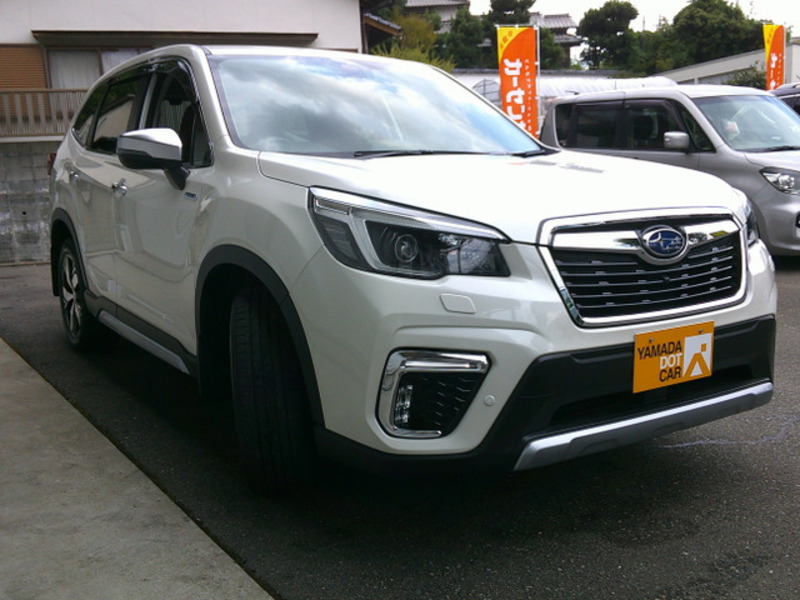 FORESTER-5