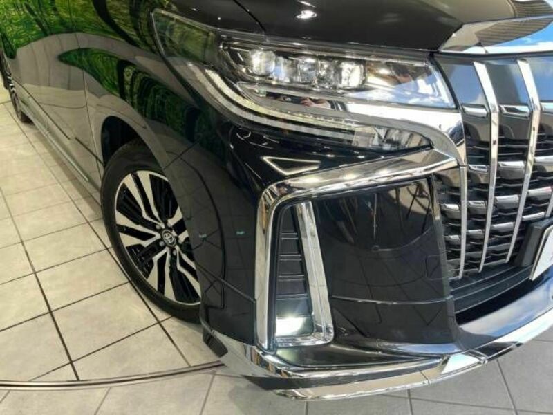 ALPHARD-13