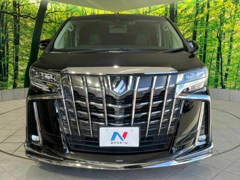 ALPHARD-15