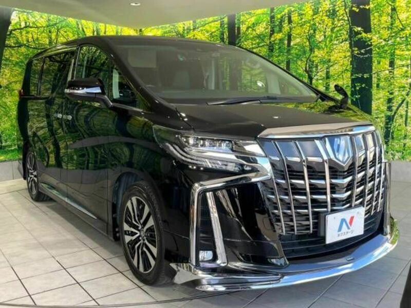 ALPHARD-17