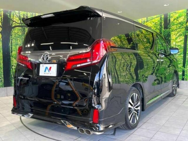 ALPHARD-18