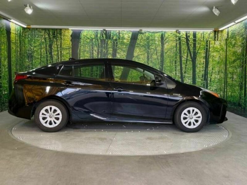 PRIUS-16