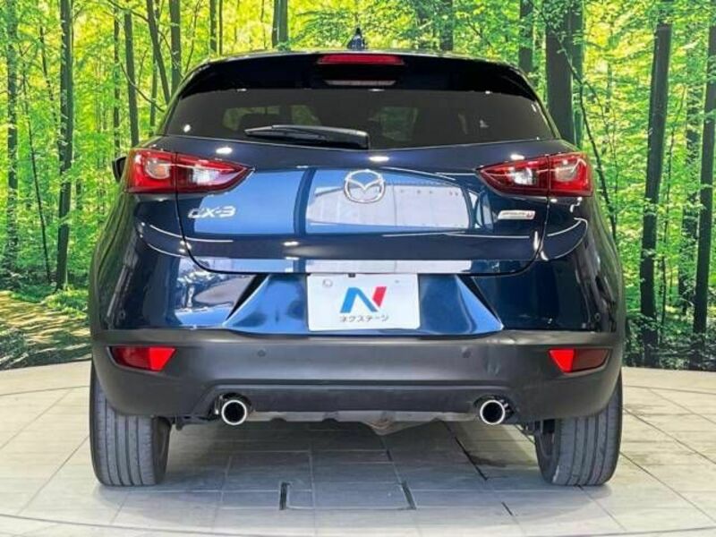 CX-3-15