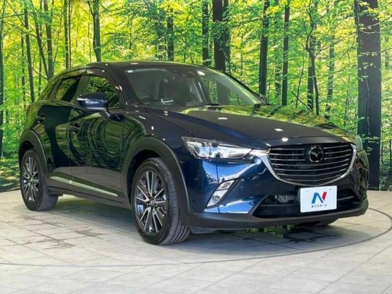 CX-3-16