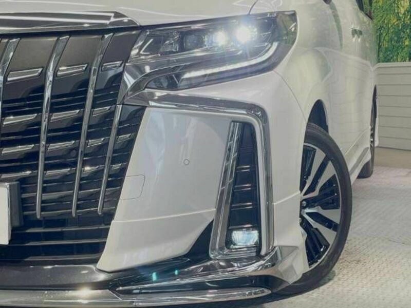 ALPHARD-13