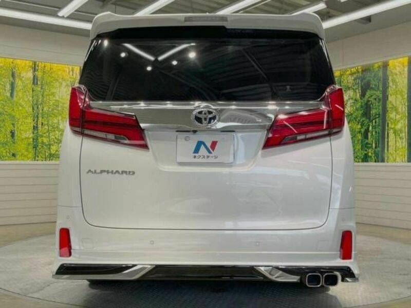 ALPHARD-16