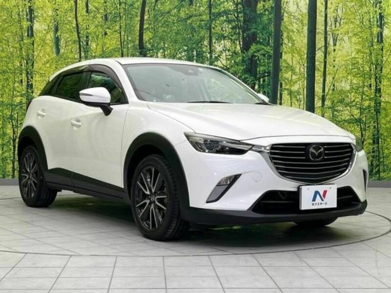 CX-3-16