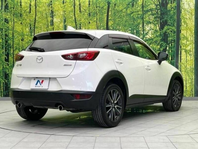 CX-3-17