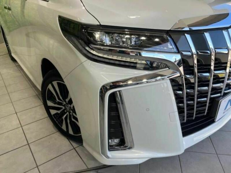 ALPHARD-13