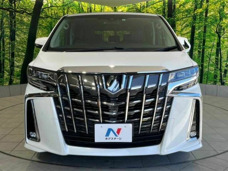 ALPHARD-15