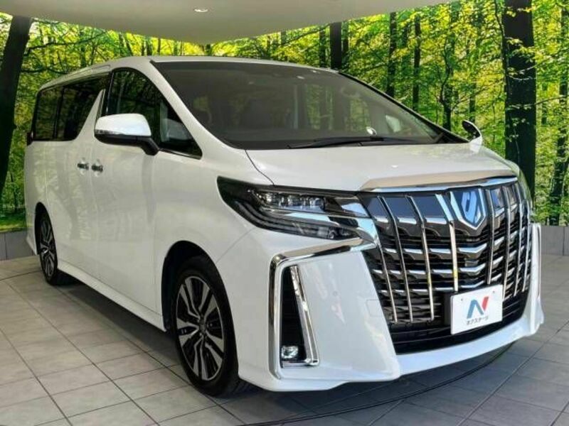 ALPHARD-17